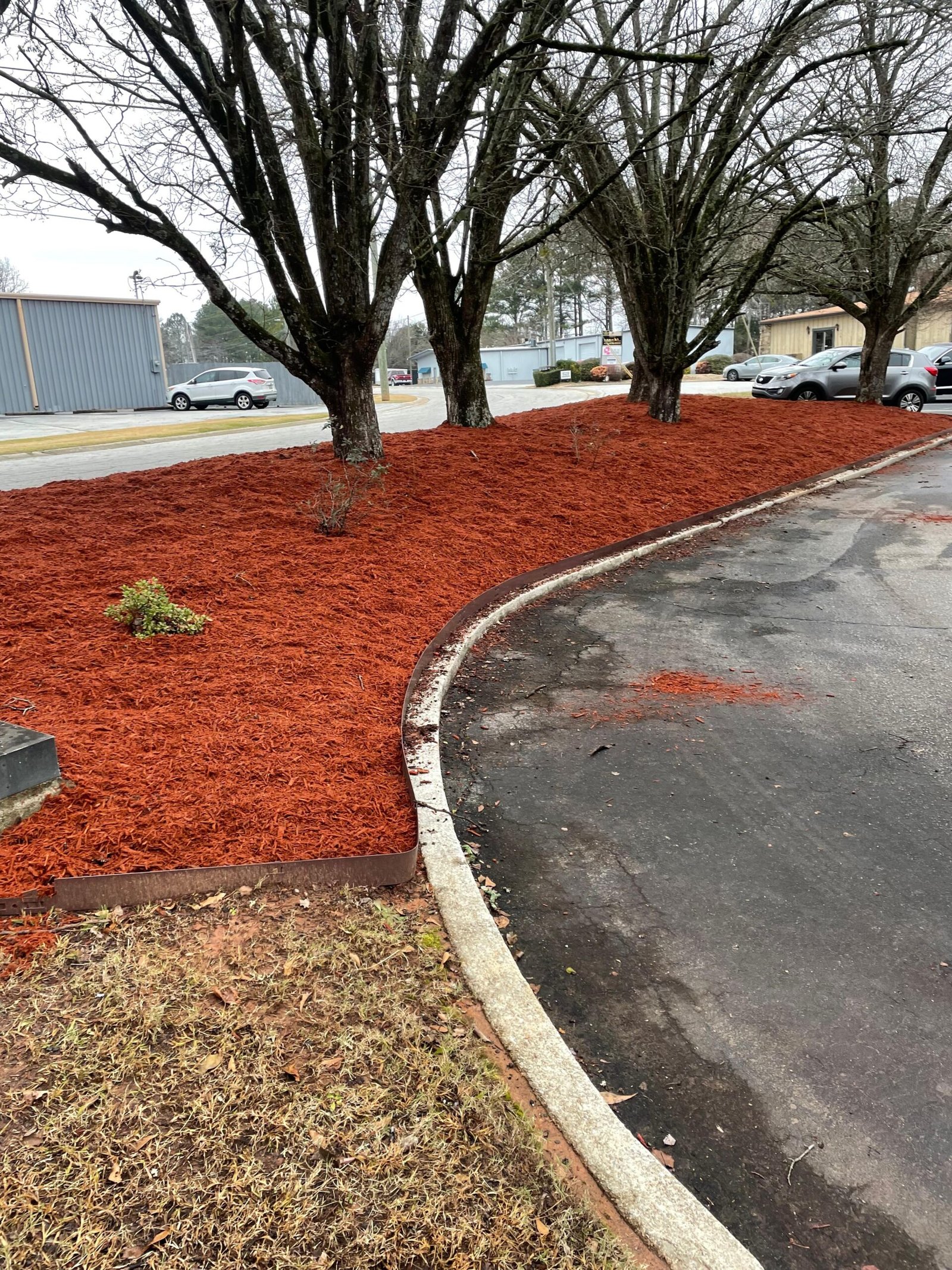 WhatsApp Image 2026-02-16 at 12.16.03 PM (1)