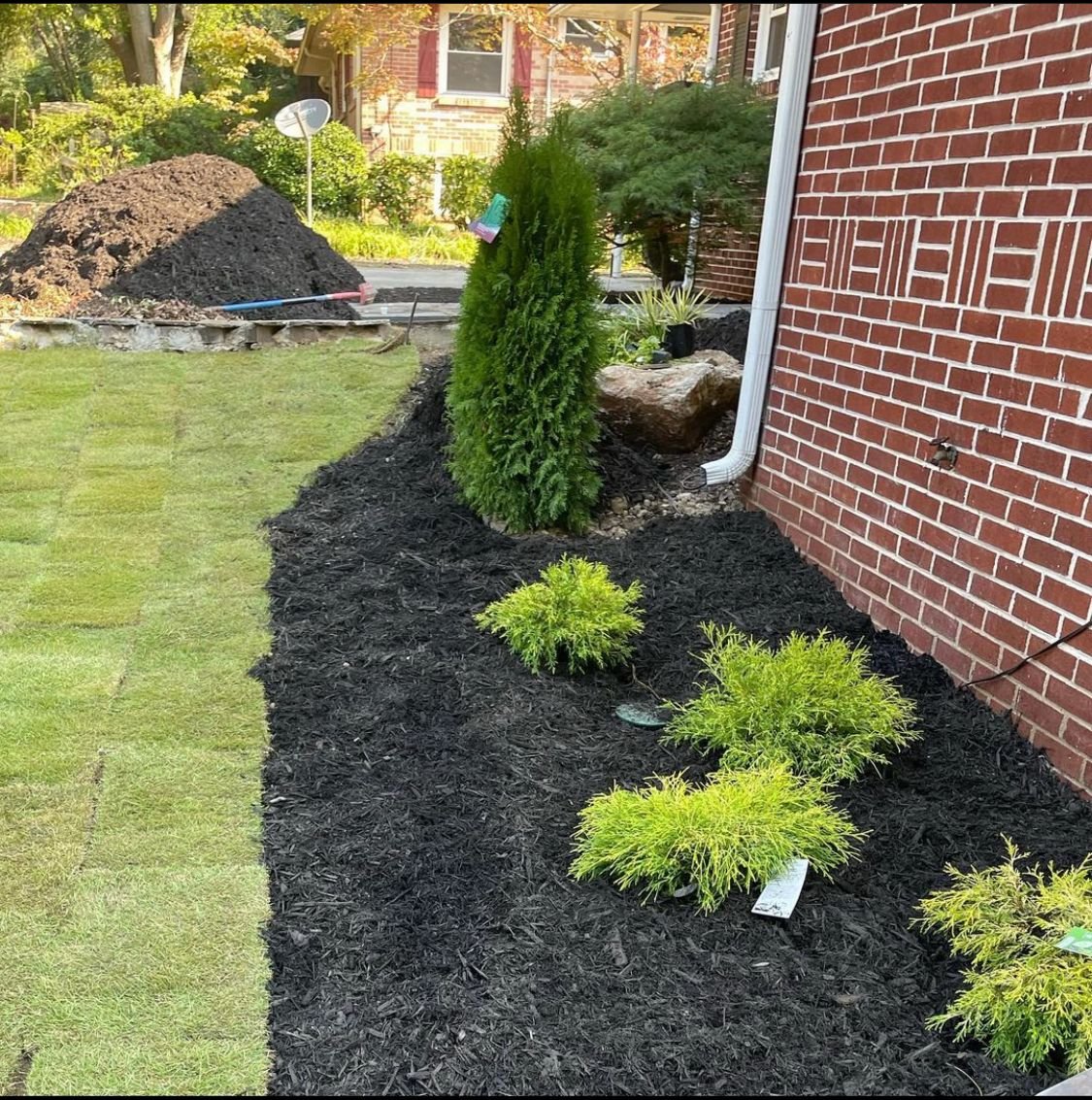 WhatsApp Image 2026-02-16 at 12.16.03 PM (3)