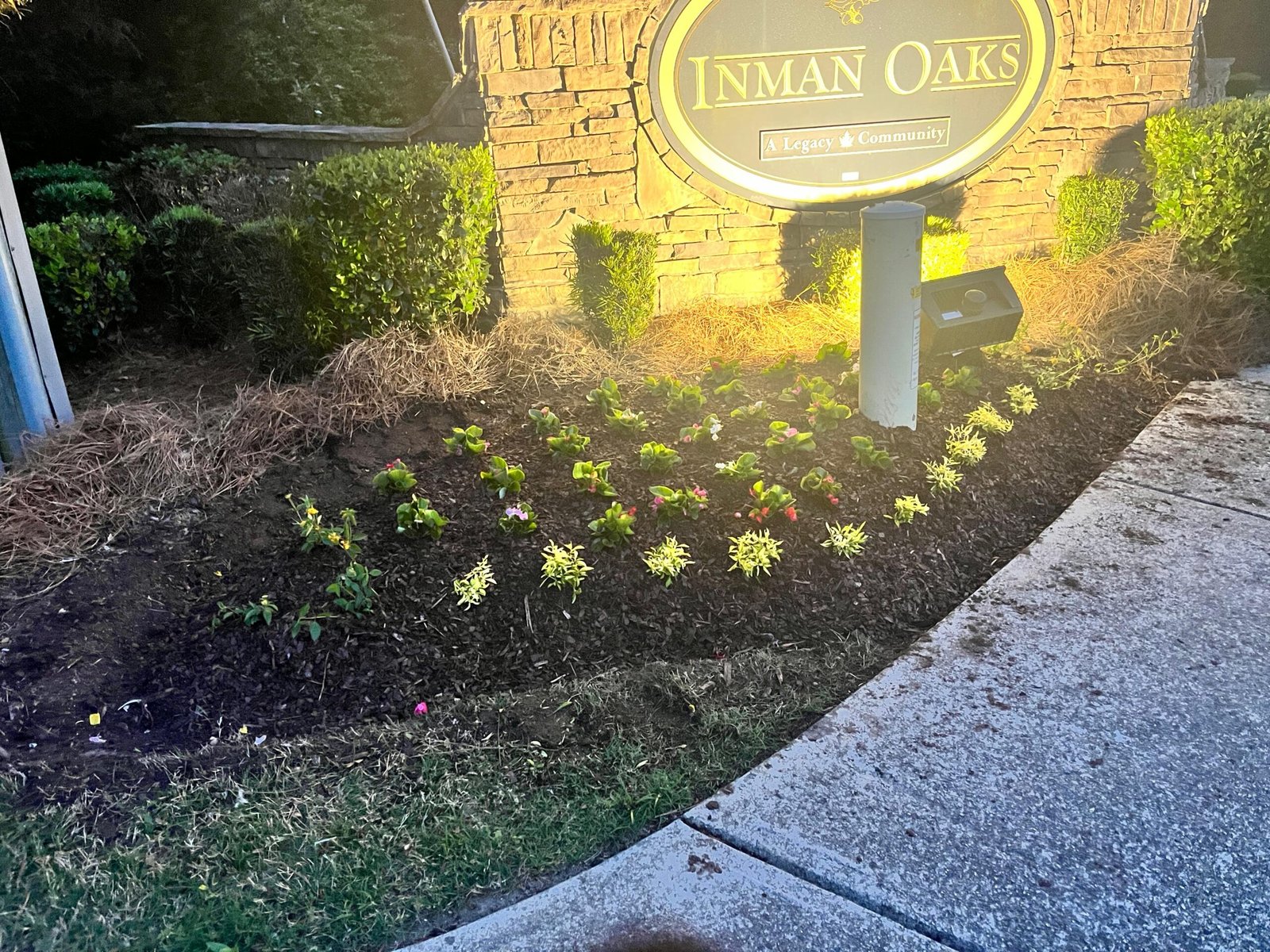 WhatsApp Image 2026-02-16 at 12.16.40 PM (1)