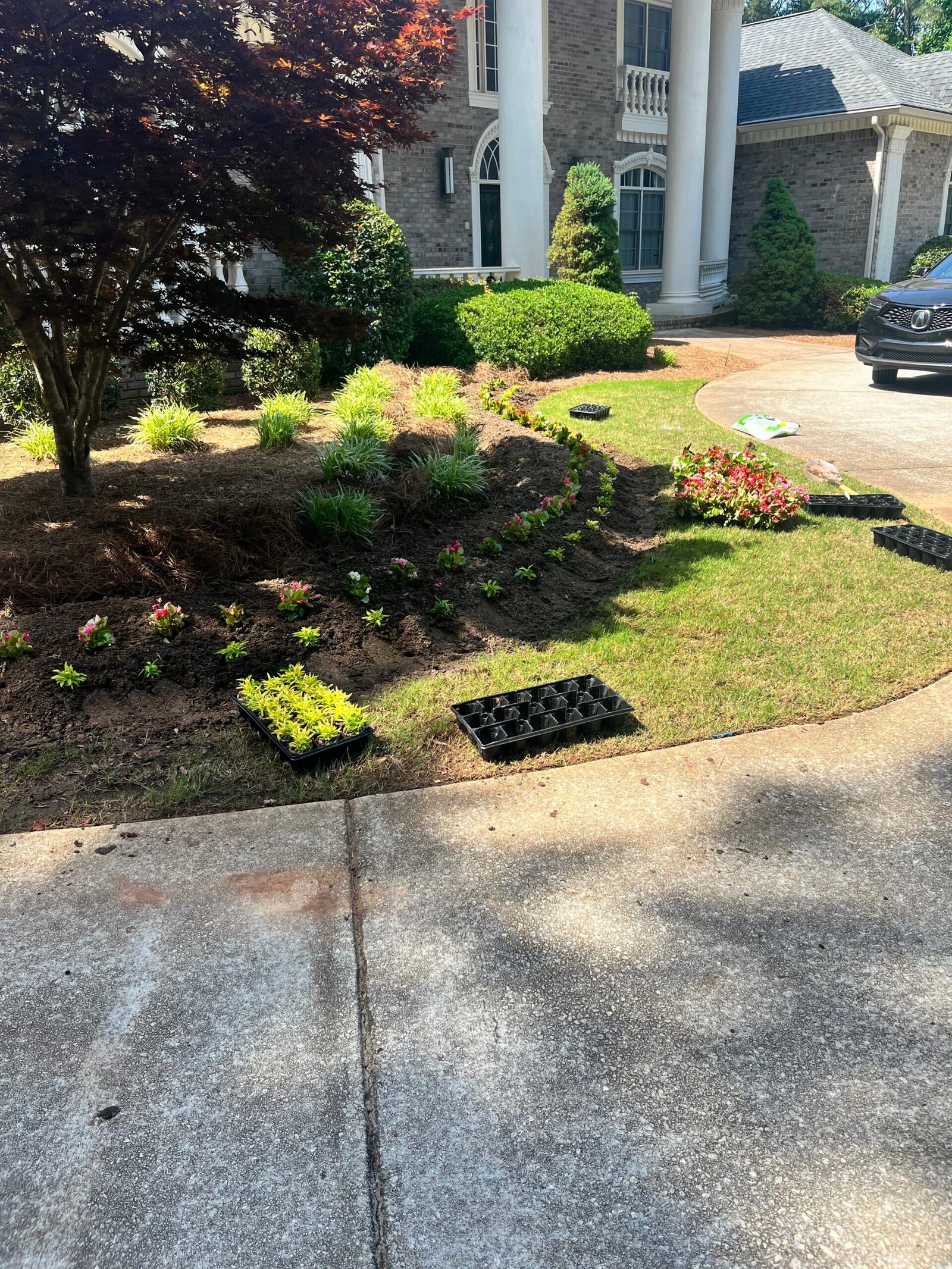 WhatsApp Image 2026-02-16 at 12.16.43 PM